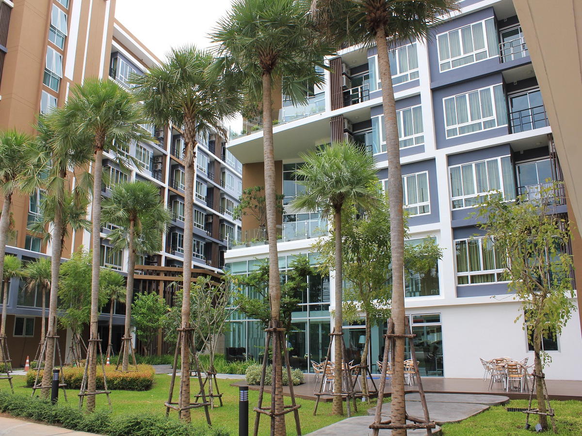 Plus-Condo-Surat-Thani
