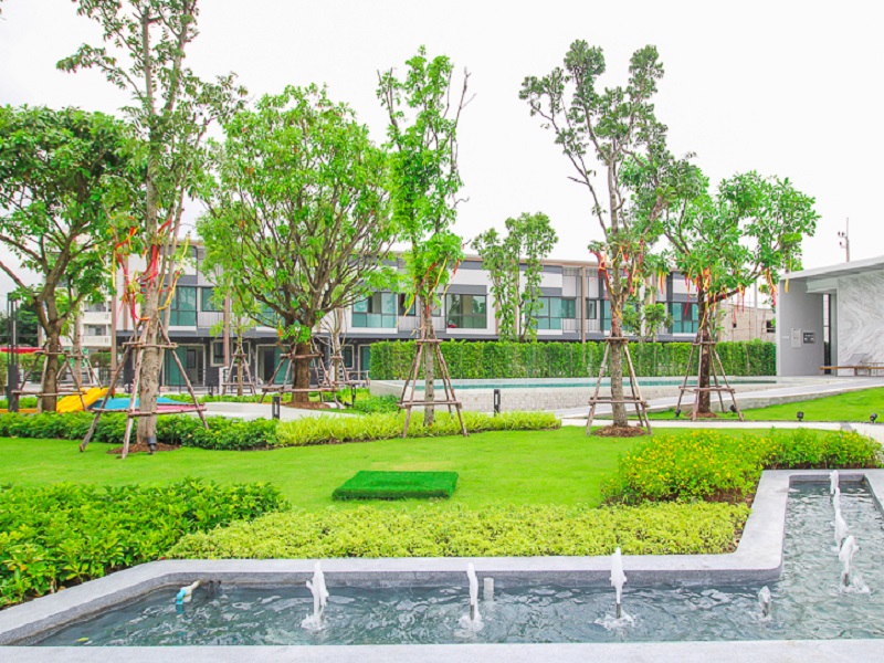 พลีโน่-สาทร-สุขสวัสดิ์