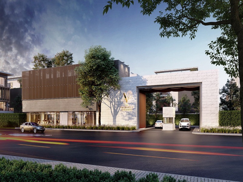 เดอะ-ไพรมารี่-วี