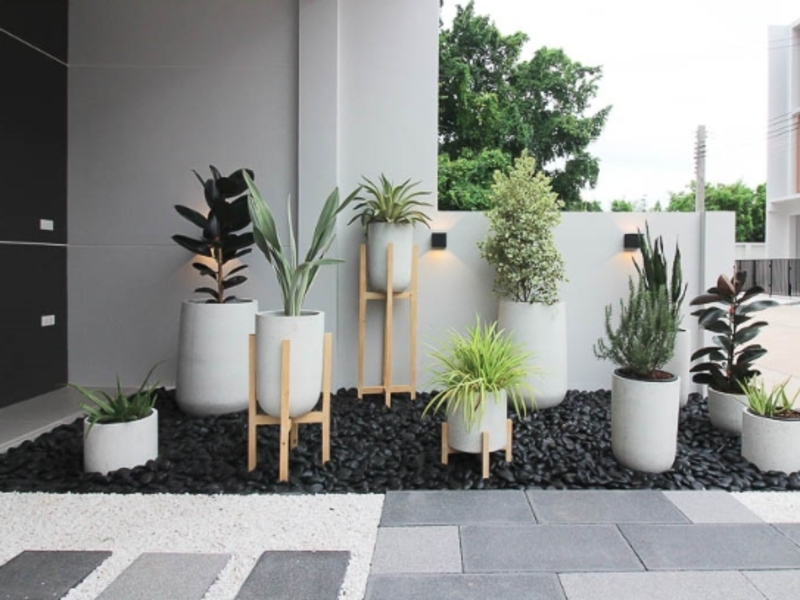 บาว่า-กัลปพฤกษ์-สาทร