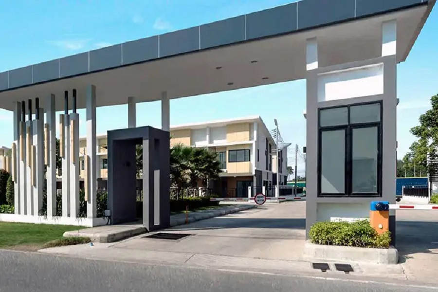 พฤกษาพรรณ-กระดีเดียว-3