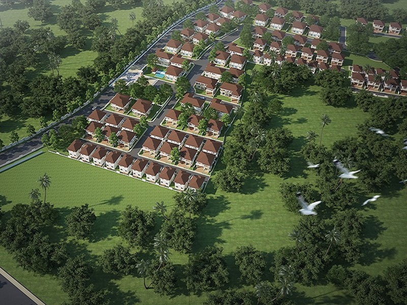 เดอะ-พรีโก้-กรีน