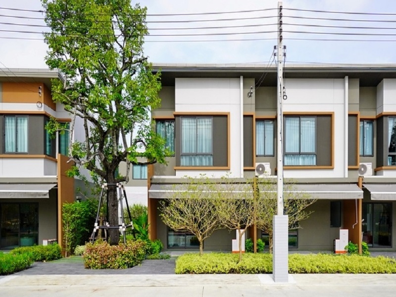 พลีโน่-ทาวน์-ปิ่นเกล้า-สาย-5