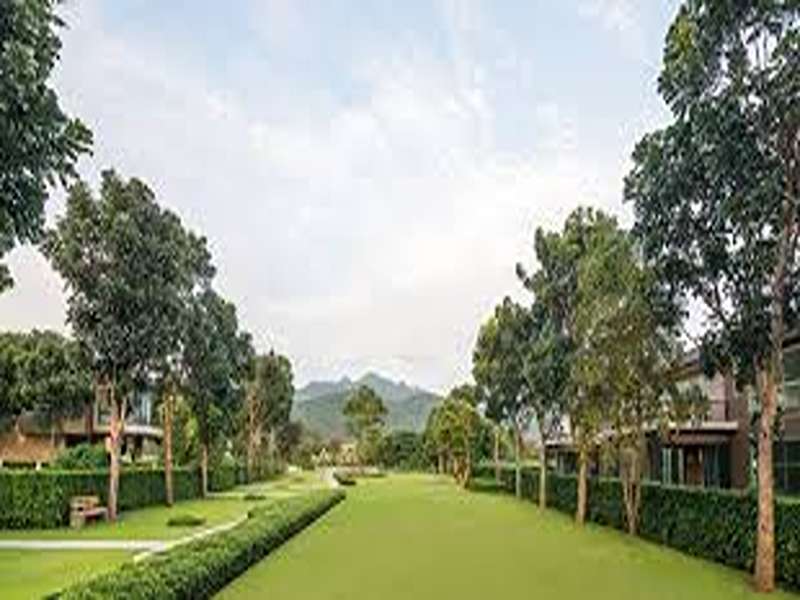 ครีเอ้-เขาใหญ่