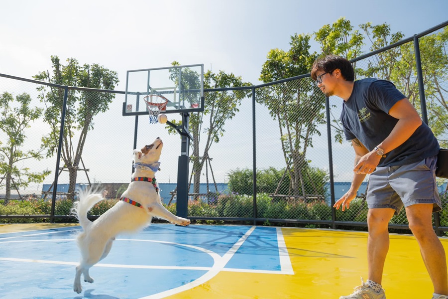 บริทาเนีย-อยุธยา